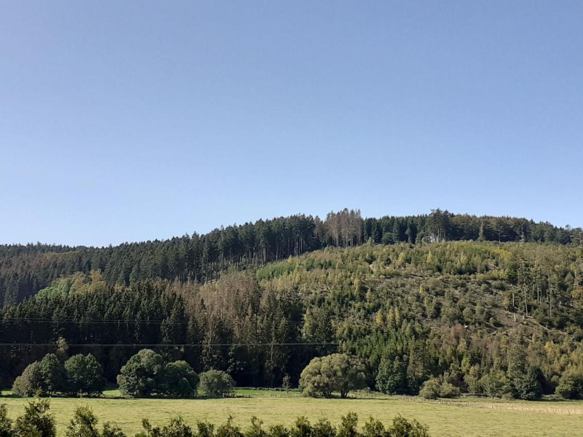 Ferienwohnung Jule Winterberg Zewnętrze zdjęcie